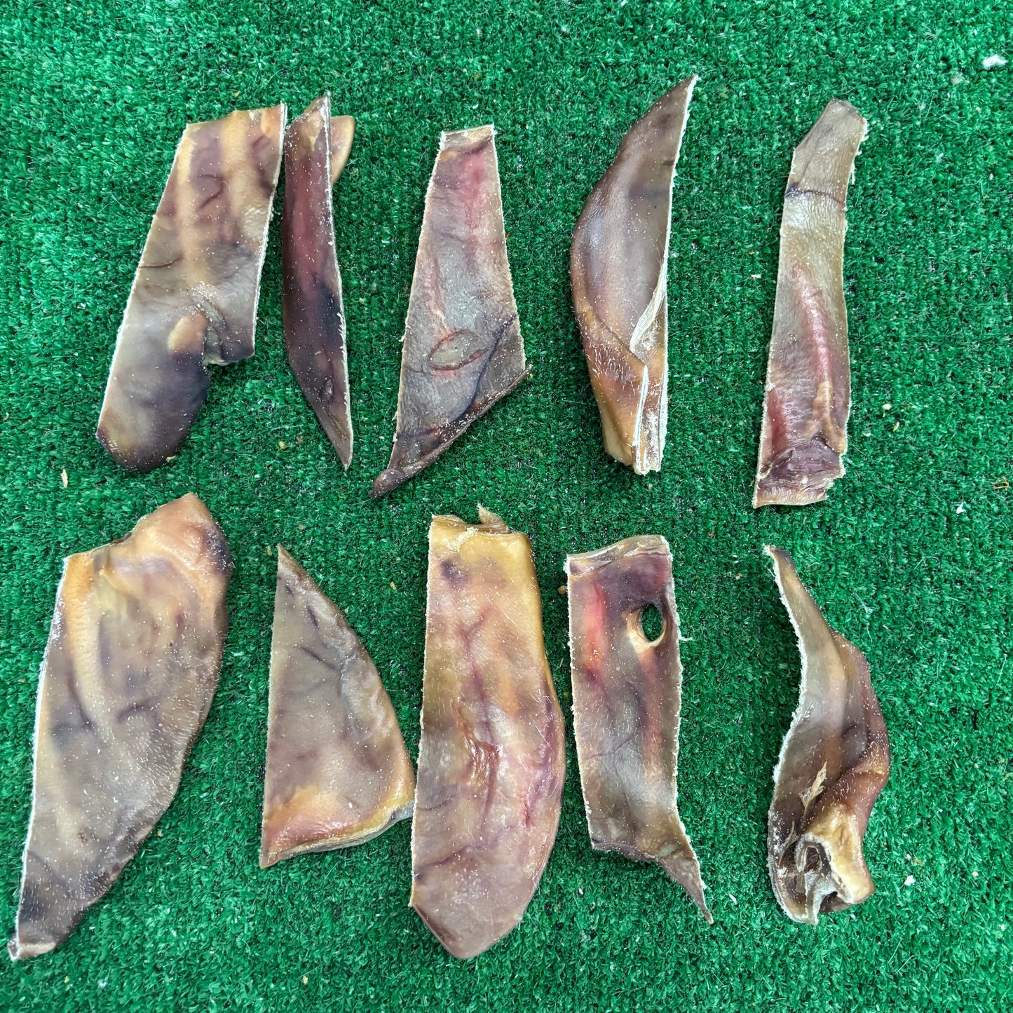 Pig Ear Pieces