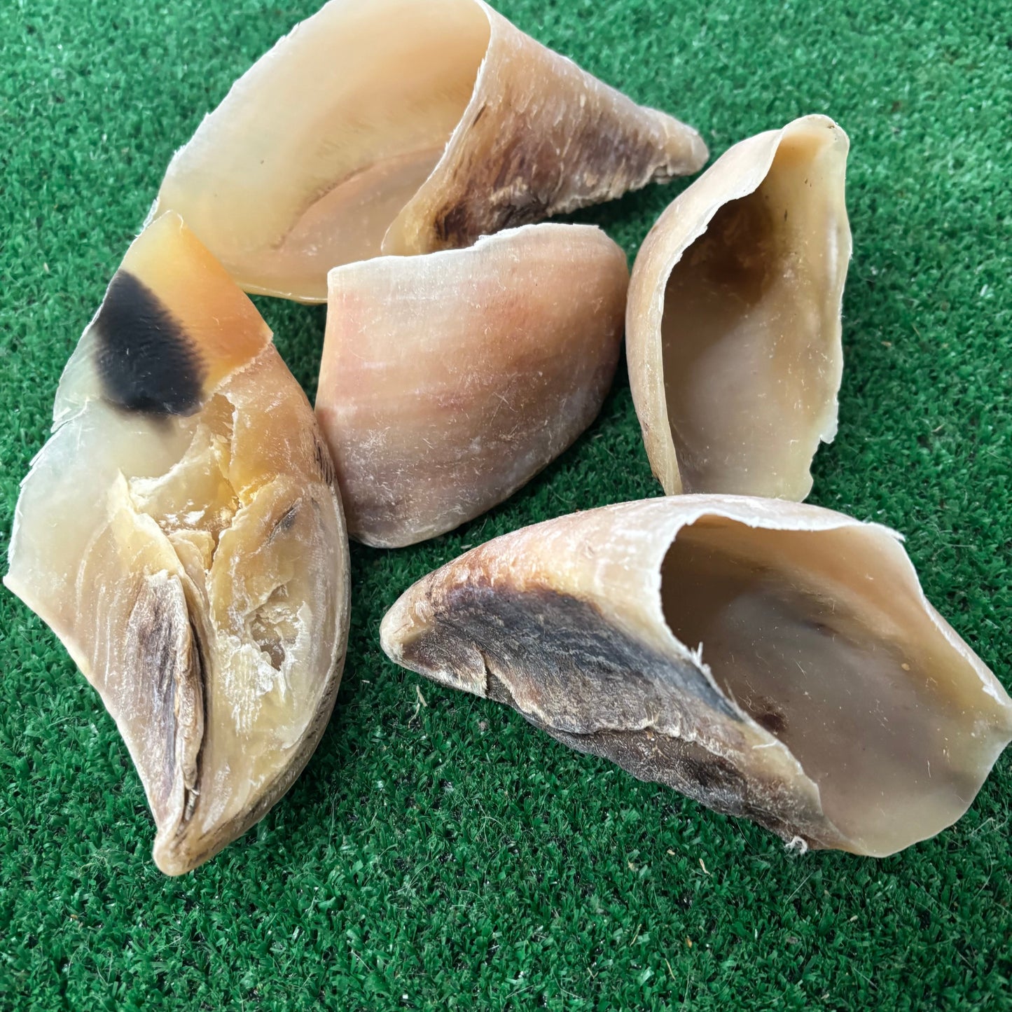 5 x Cow Hooves - Natural Doggy Treats