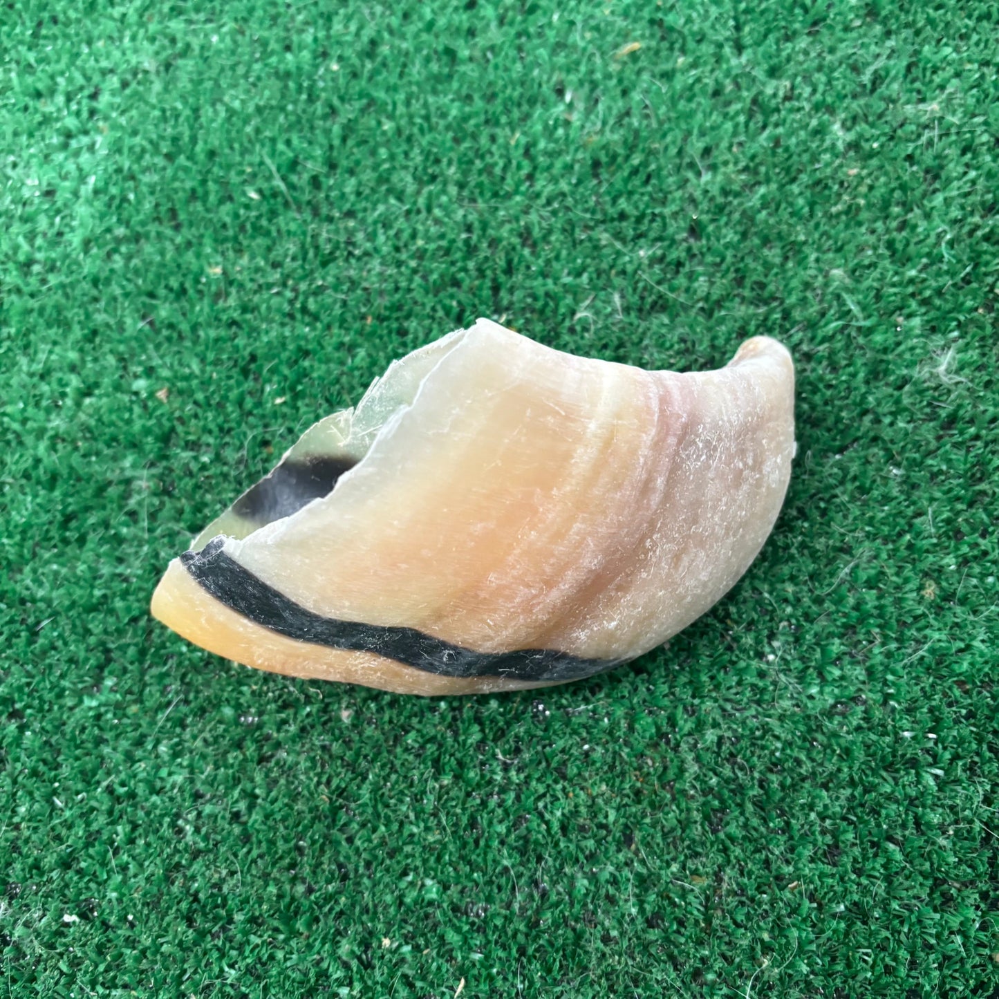5 x Cow Hooves - Natural Doggy Treats
