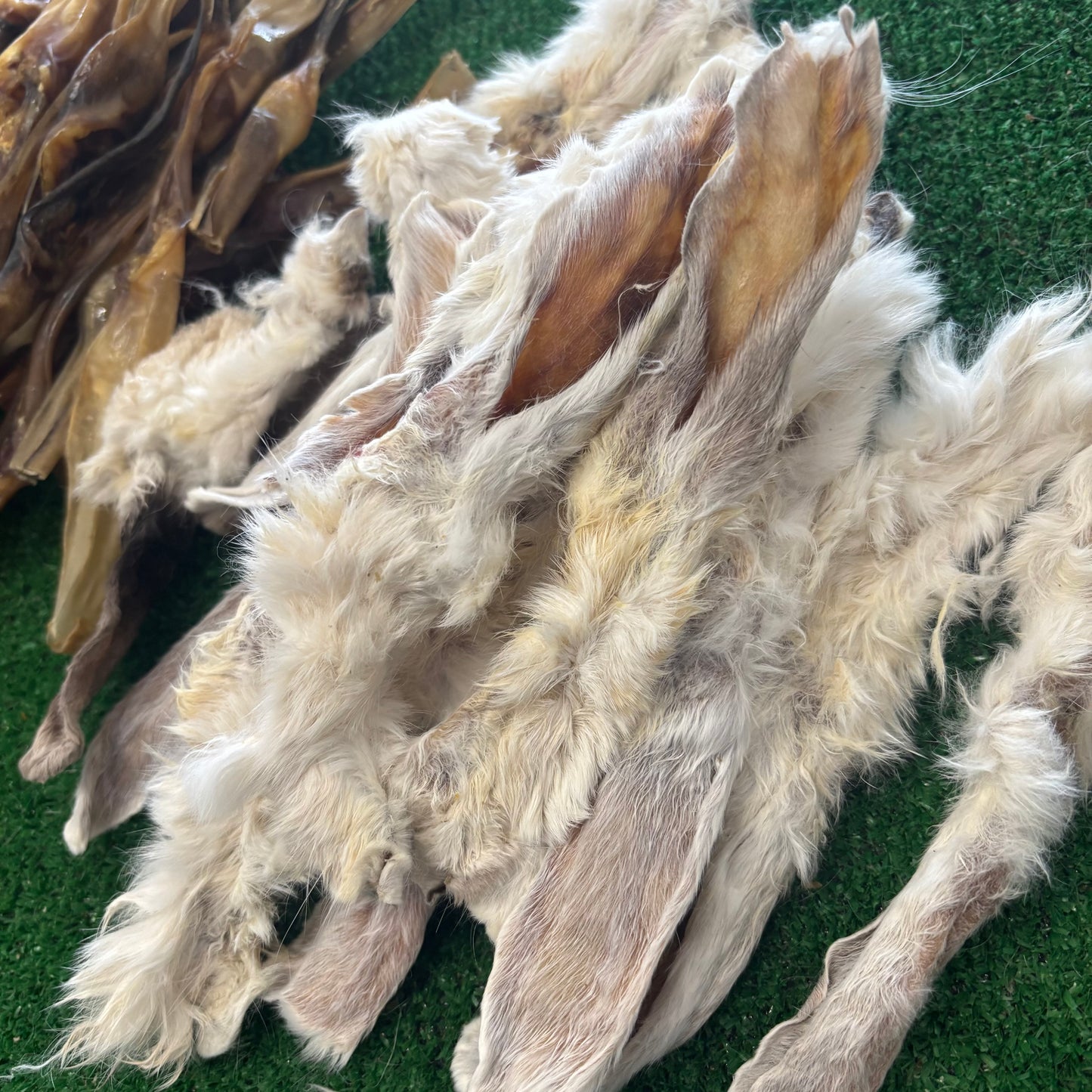 Rabbit Ear Bundle