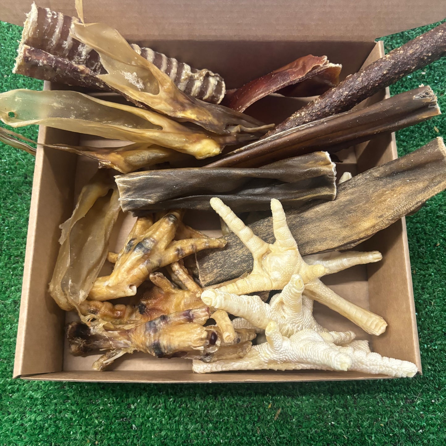 Cost Of Living Box