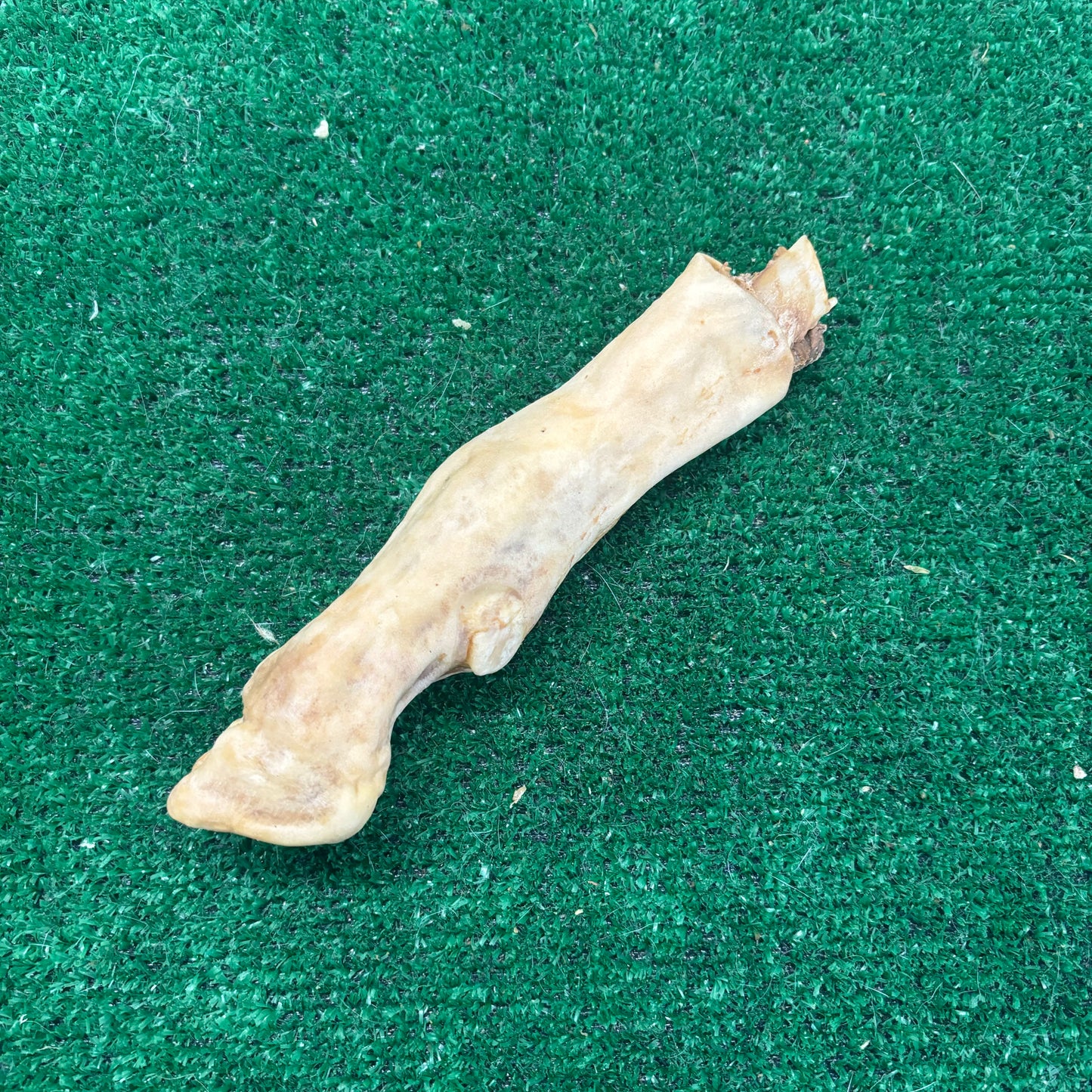 Goat leg