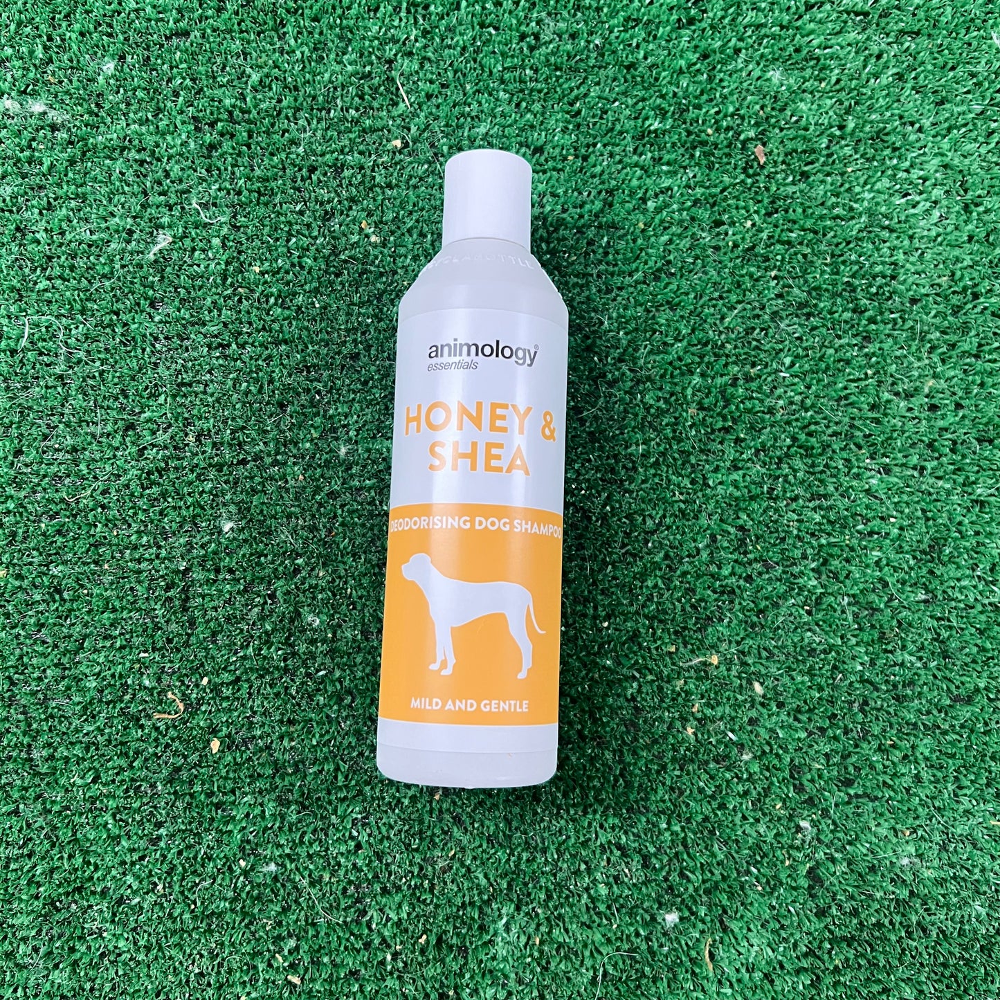 Honey & Shea Shampoo