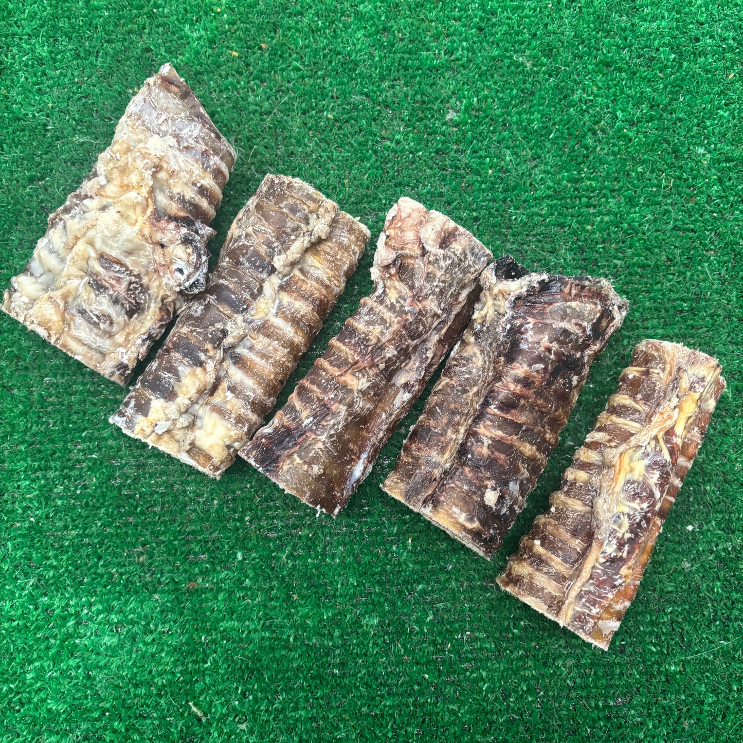 Beef Trachea x 10