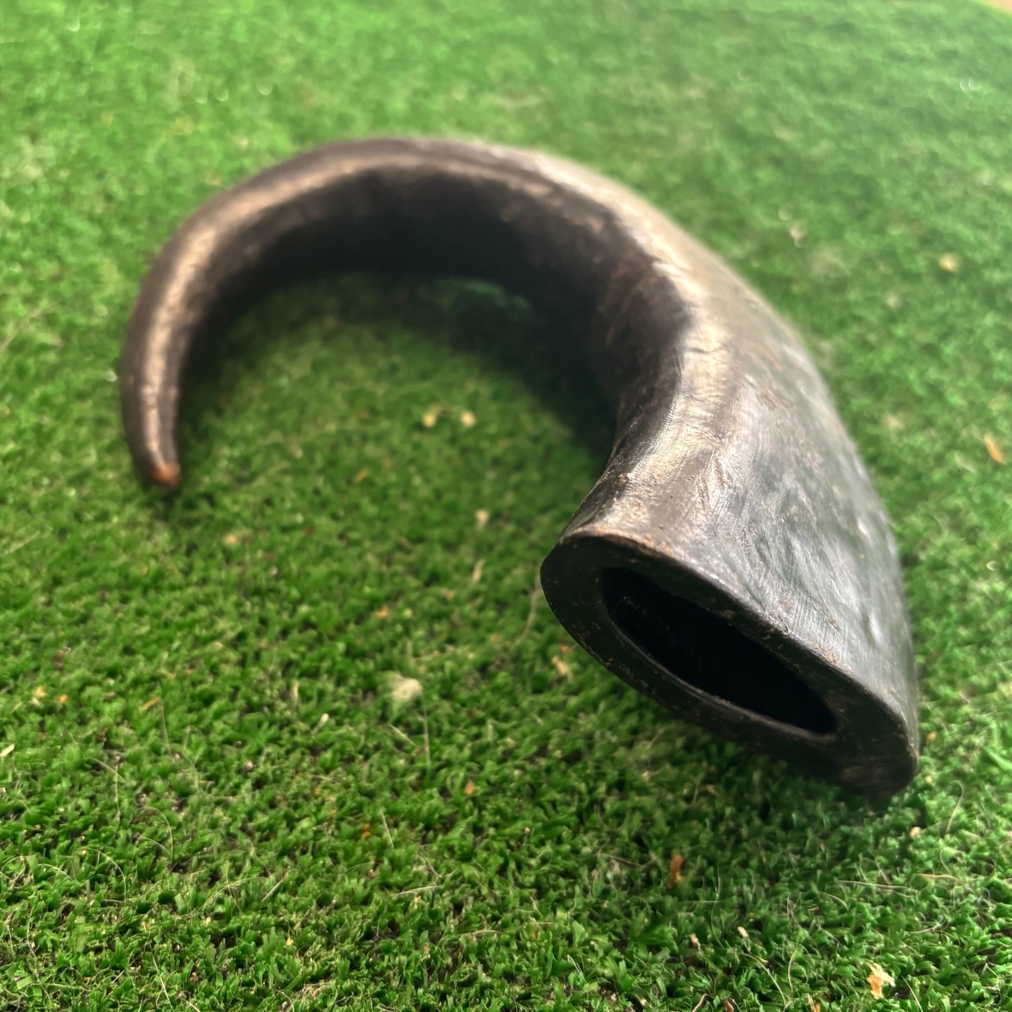Buffalo Horn - Natural Doggy Treats