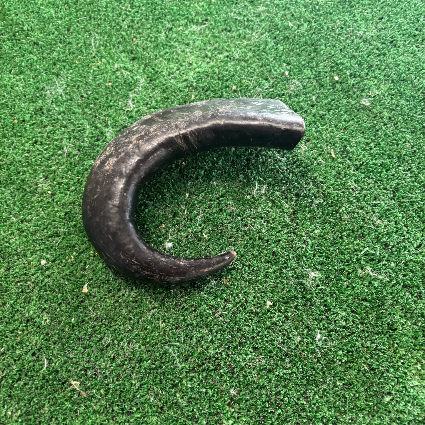 Buffalo Horn - Natural Doggy Treats