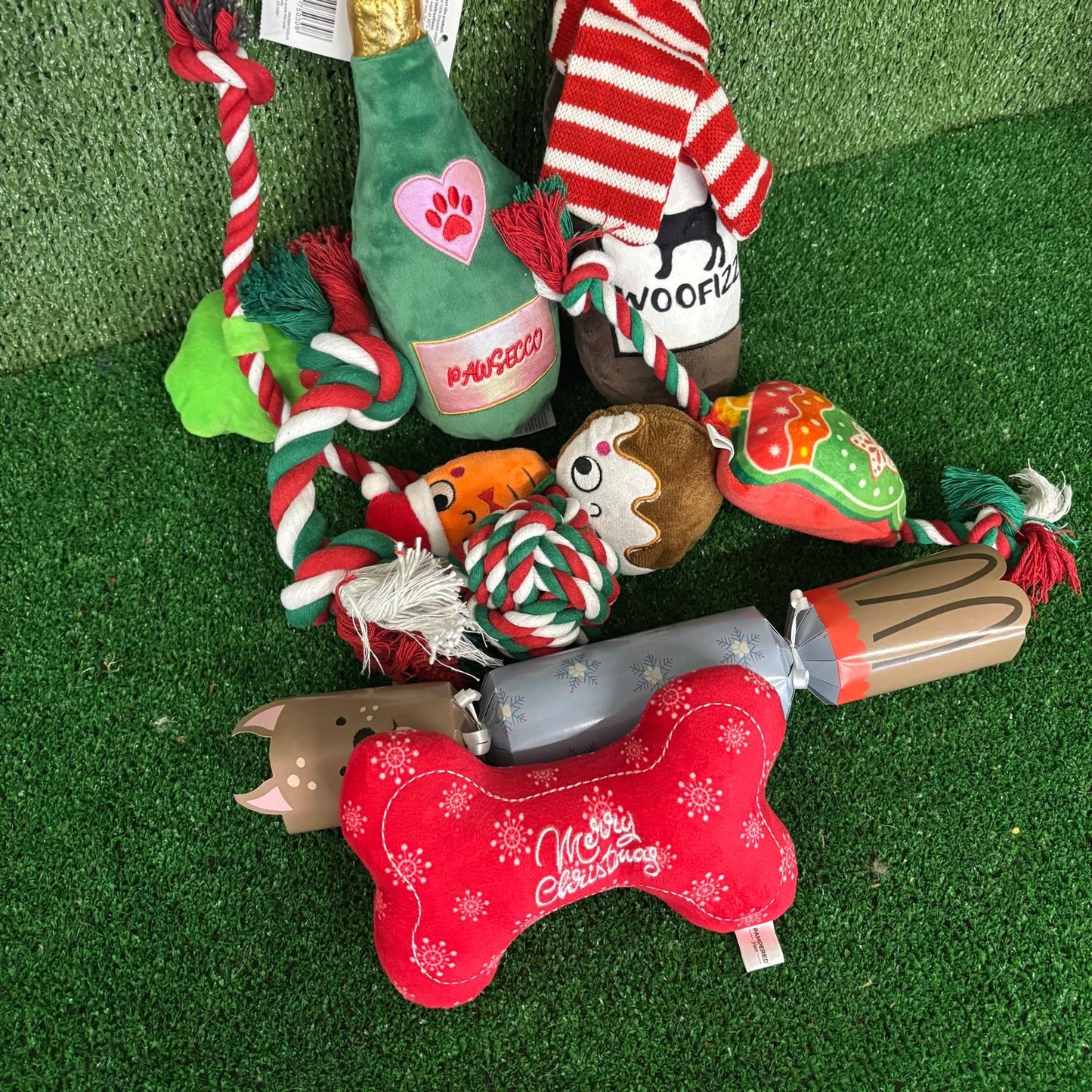 Santa Paws Bundle Box