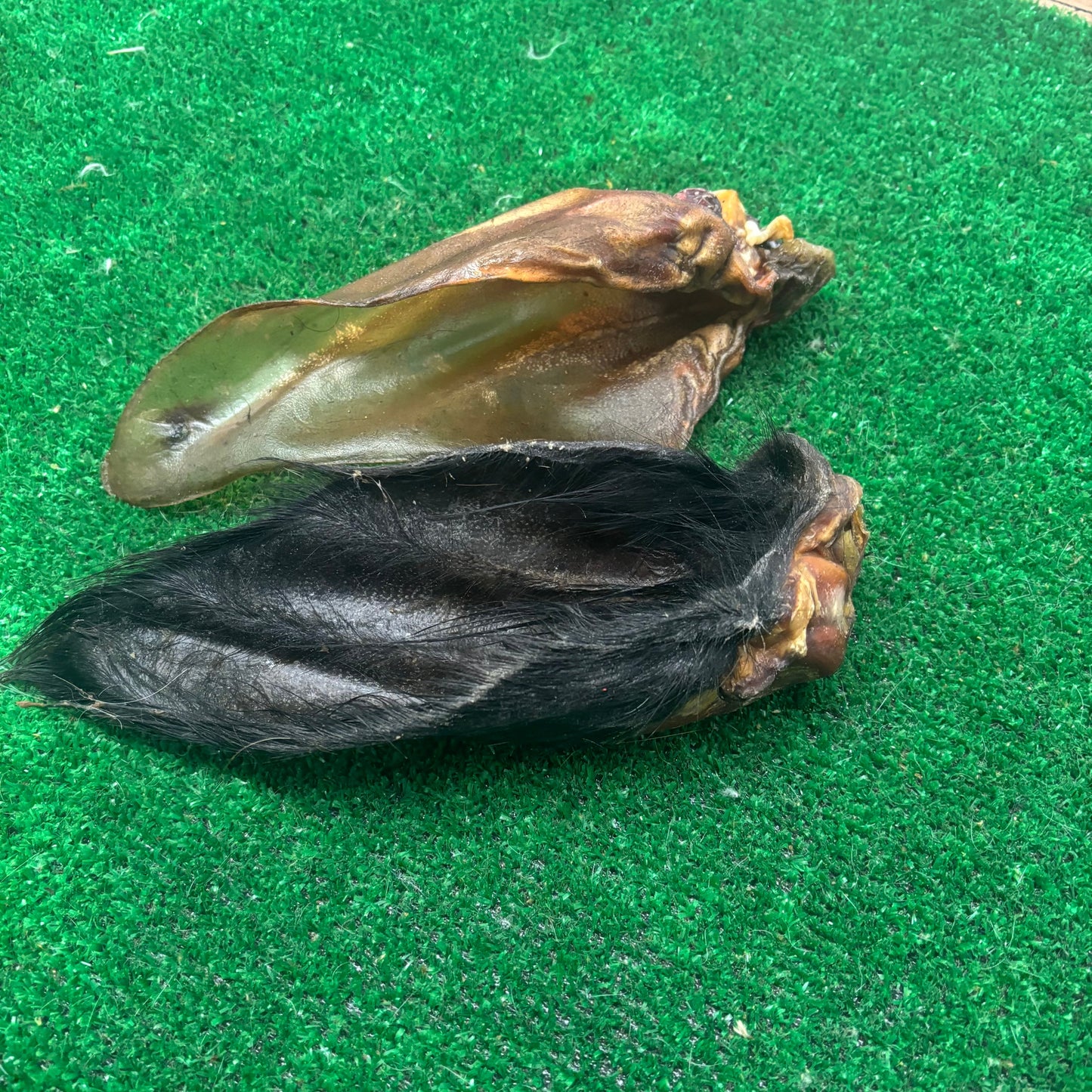 Cow Ears - Natural Doggy Treats