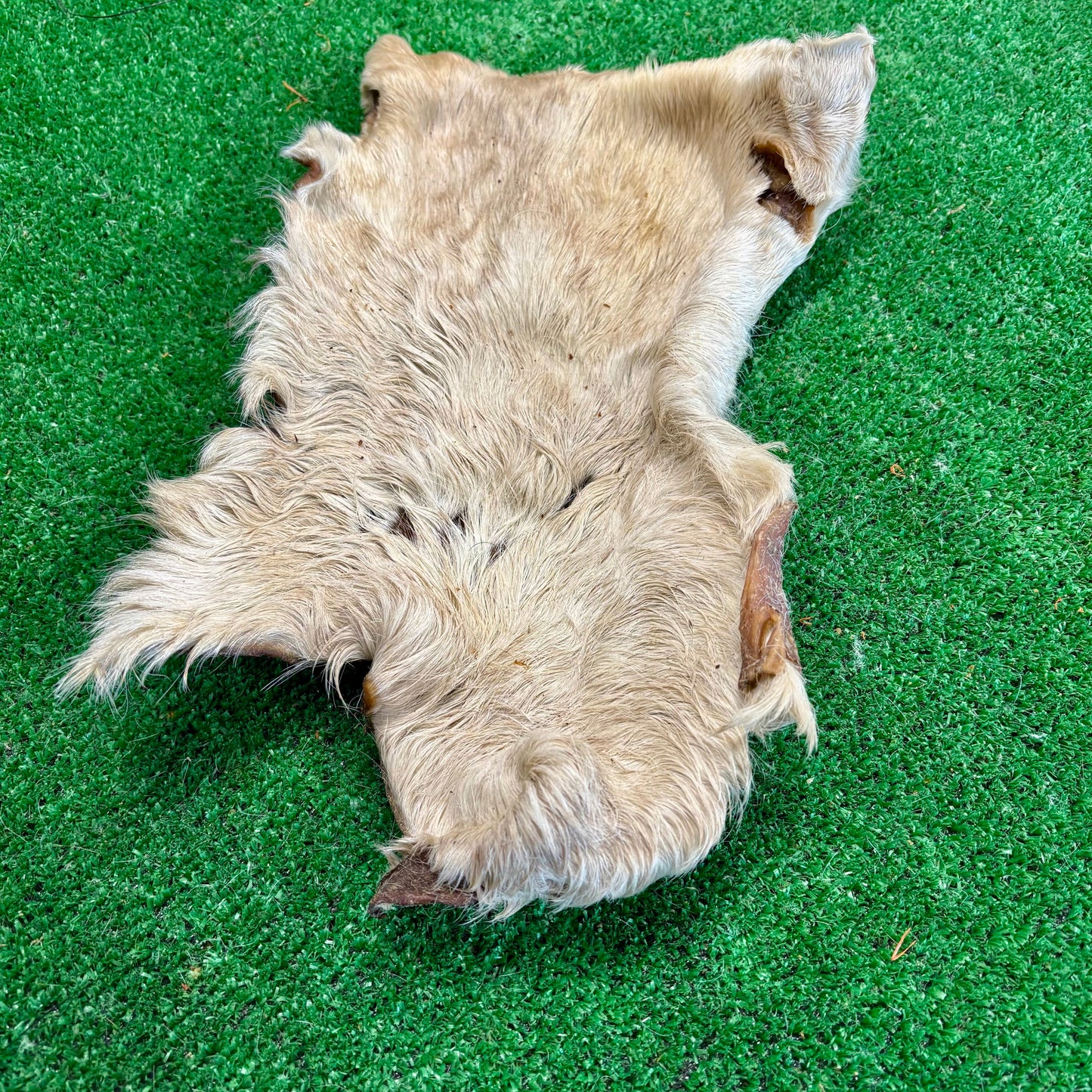 Cow Skin - Natural Doggy Treats