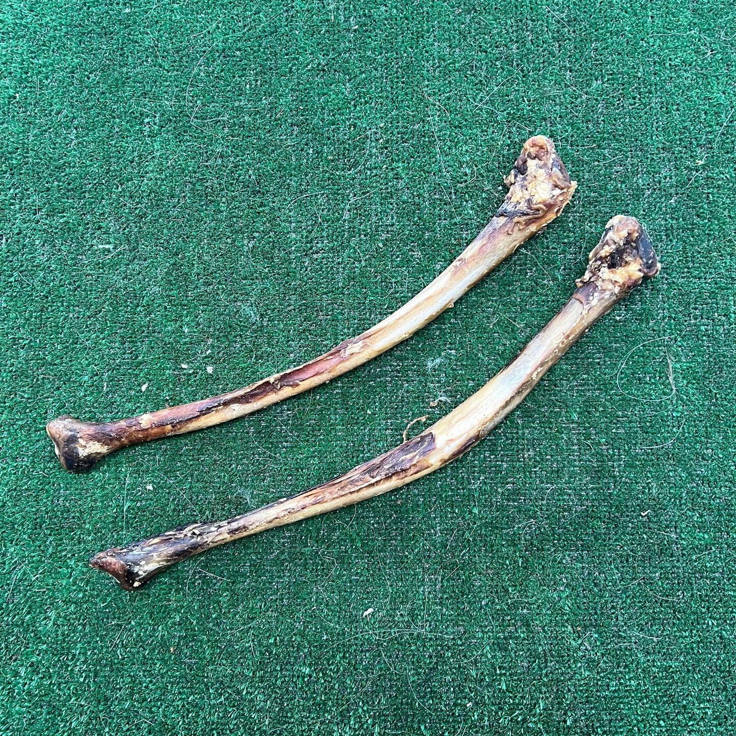 2x Ostrich Wing Bone - 100% natural, free from raw hide & any hidden nasties.
