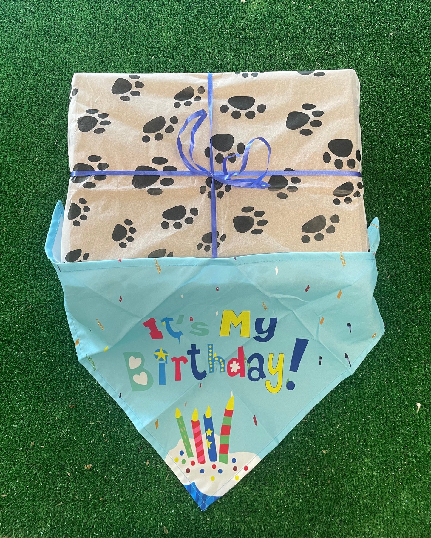 Birthday Boy Doggy Treat Box - 100% natural, free from raw hide & any hidden nasties.