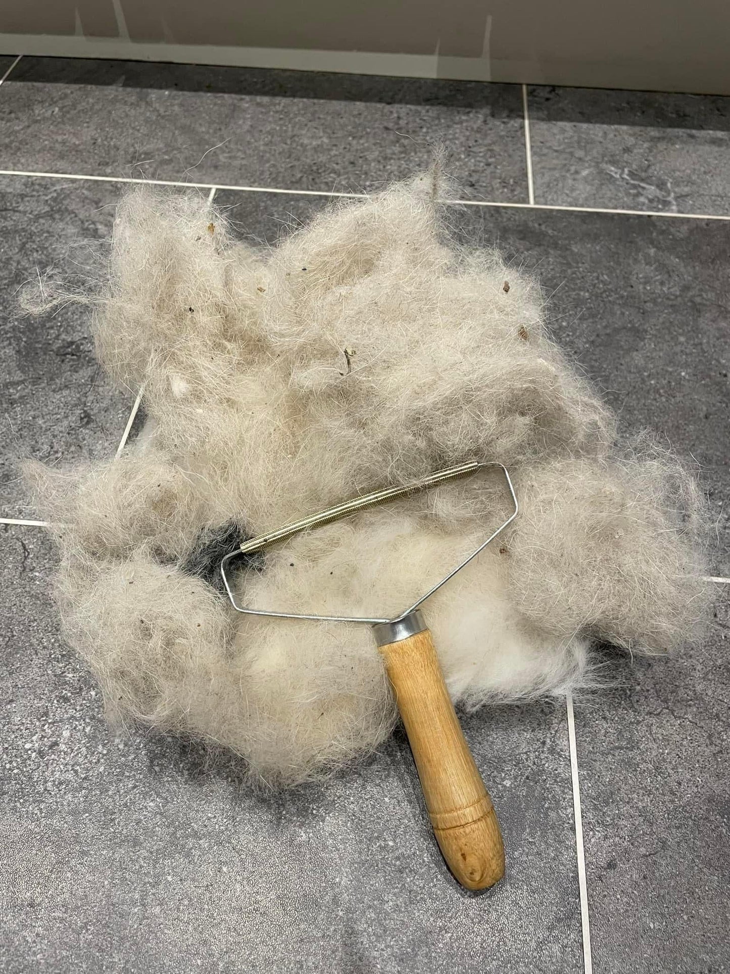 Carpet Wizard - 100% natural, free from raw hide & any hidden nasties.