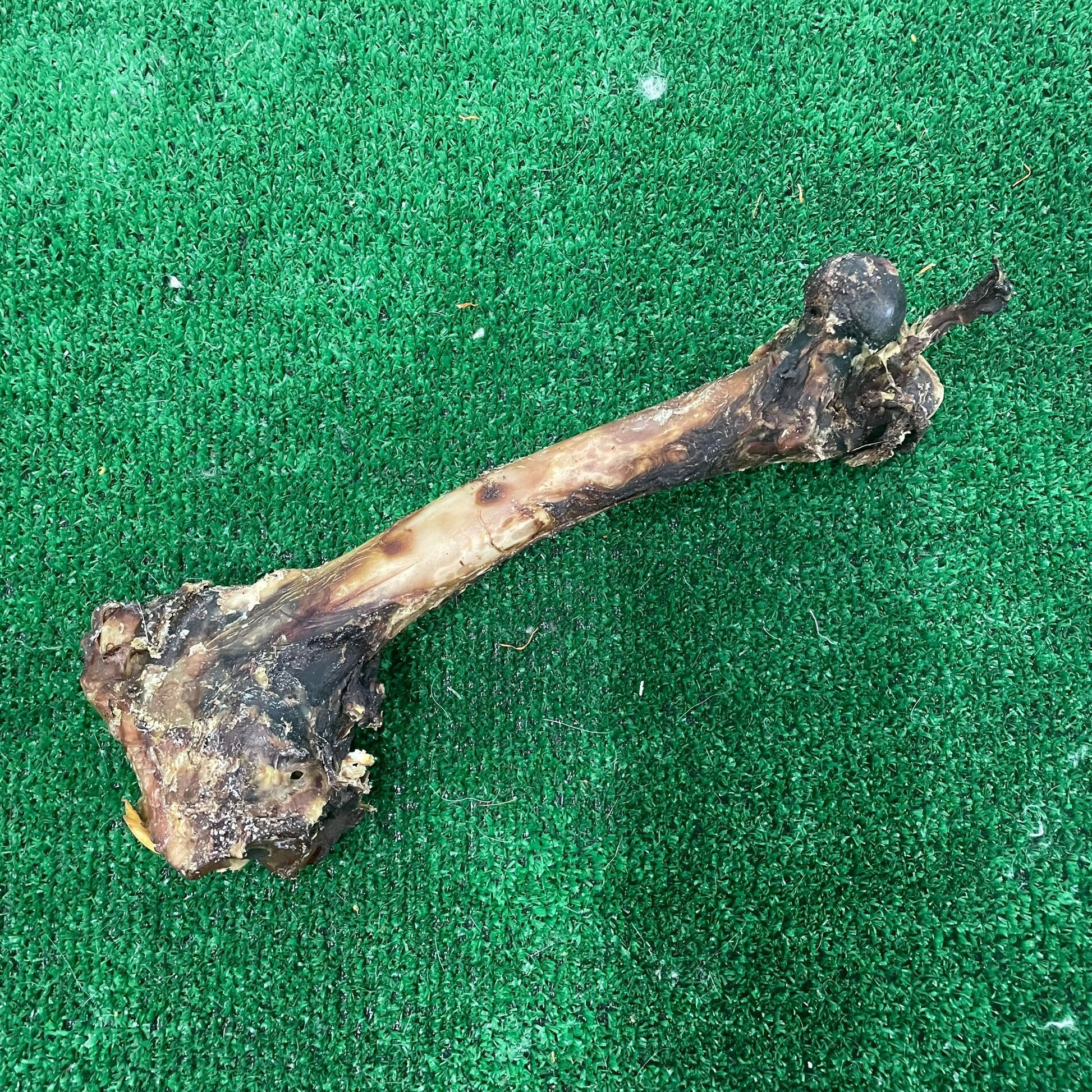 Deer Bone - 100% natural, free from raw hide & any hidden nasties.