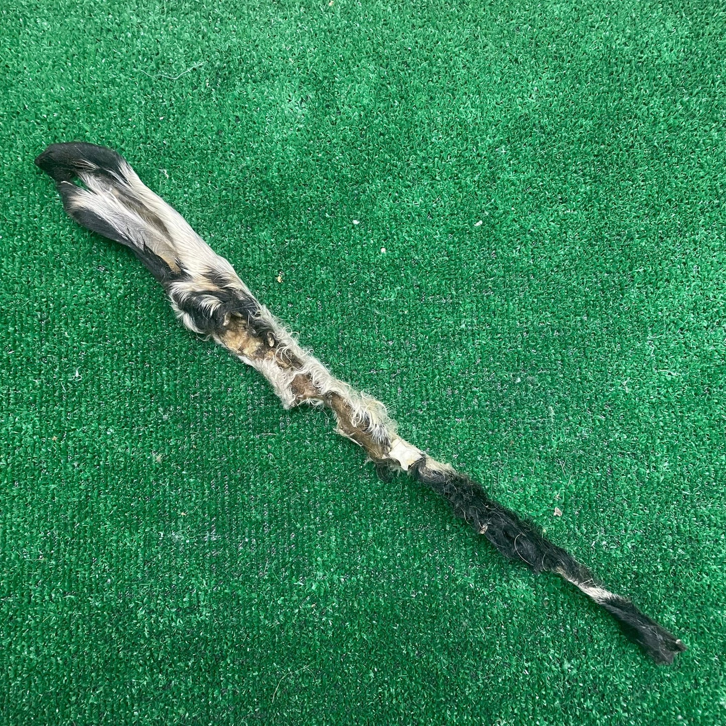 Goat Ear Stick - 100% natural, free from raw hide & any hidden nasties.