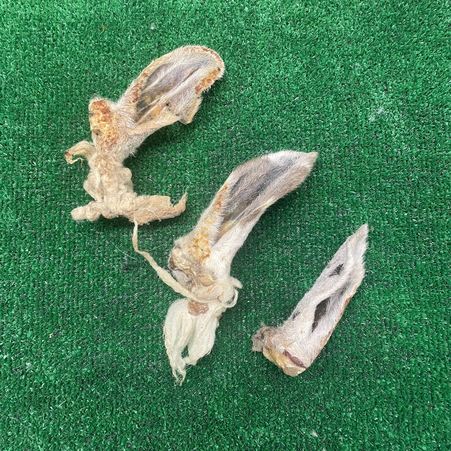 Lamb Ears - 100% natural, free from raw hide & any hidden nasties.