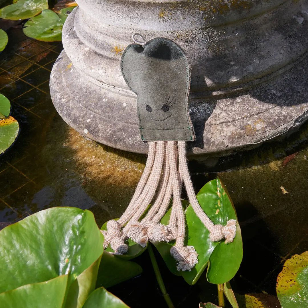 Olive the octopus - Natural Doggy Treats