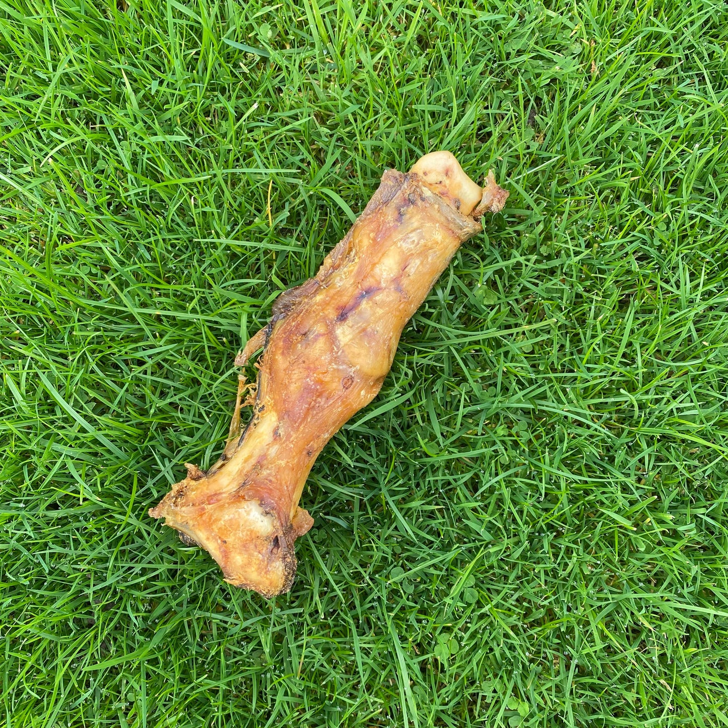 Ostrich Foot - 100% natural, free from raw hide & any hidden nasties.
