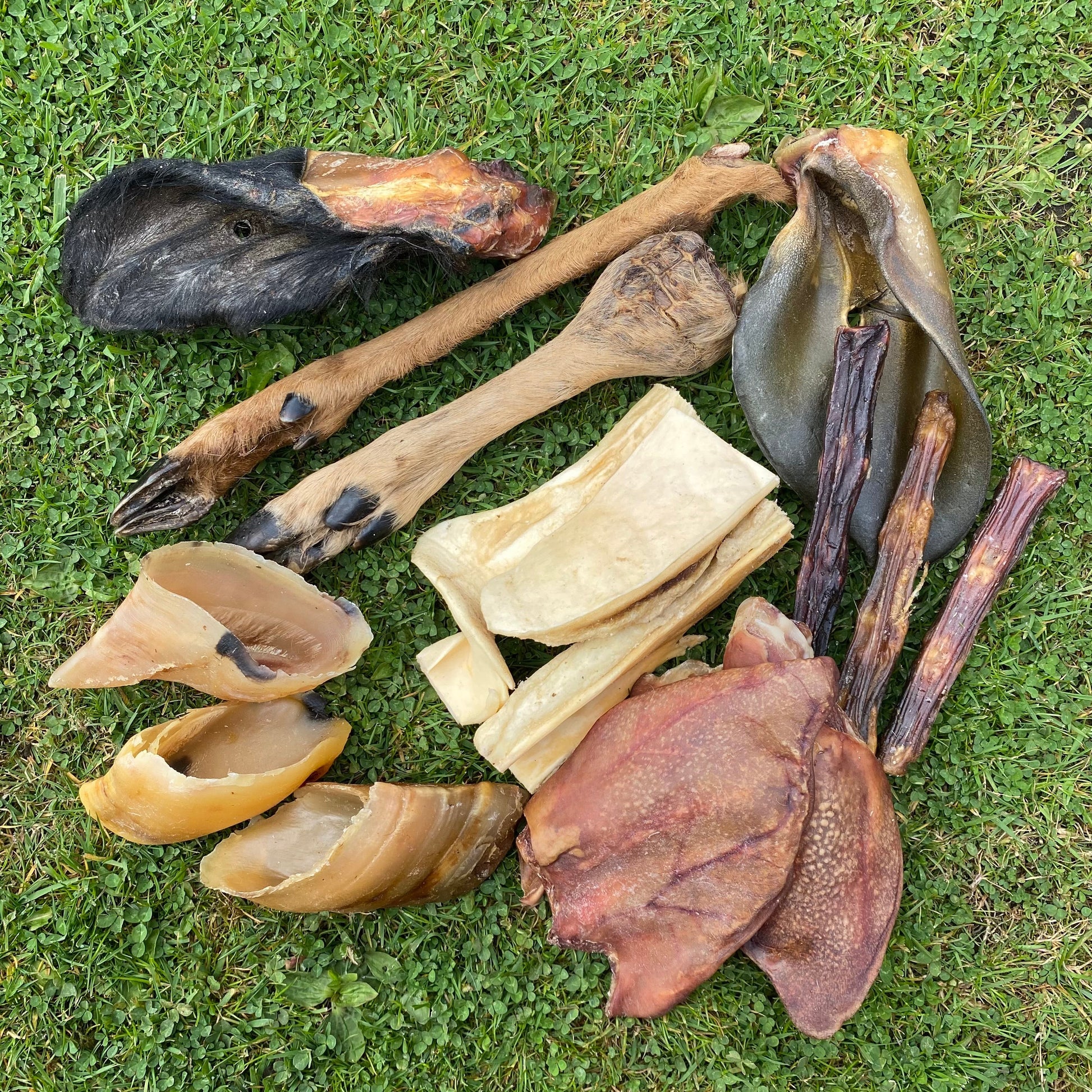 The Big Chew Box - 15 Long Lasting Chews - 100% natural, free from raw hide & any hidden nasties.