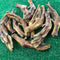 10 x Duck Feet