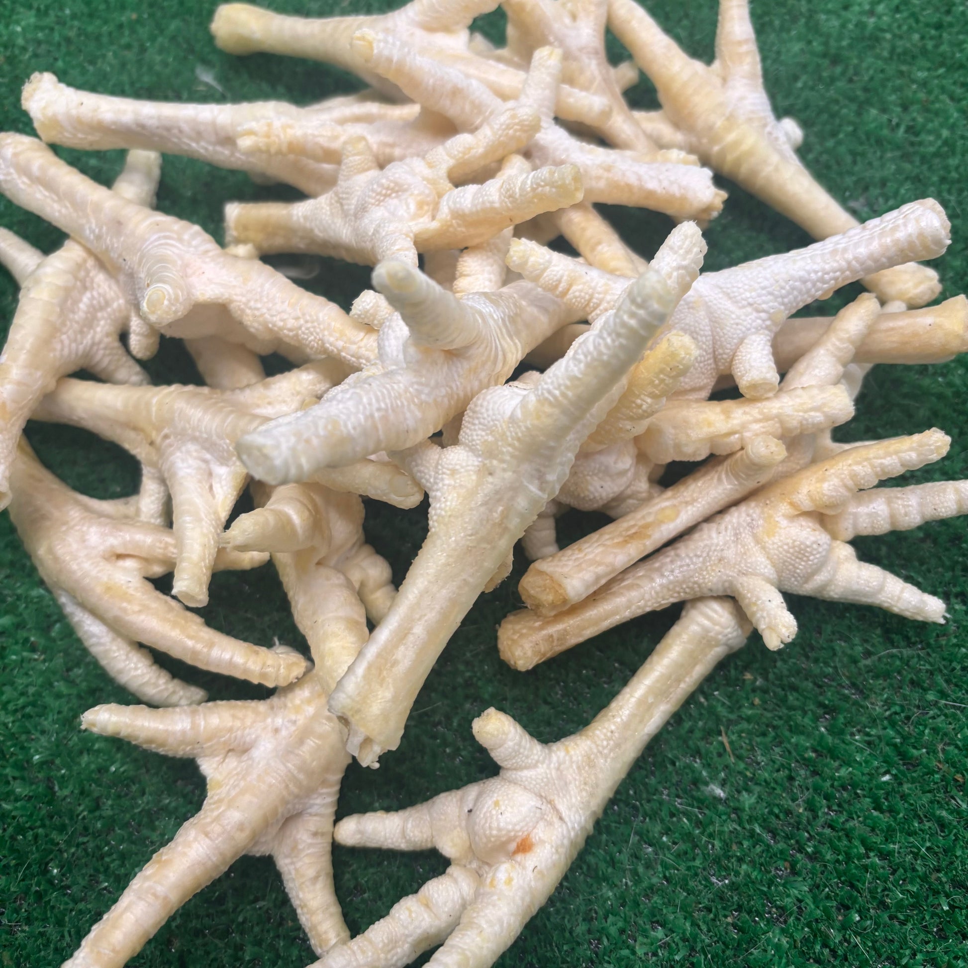 15 x Puffed Chicken Feet - Natural Doggy Treats