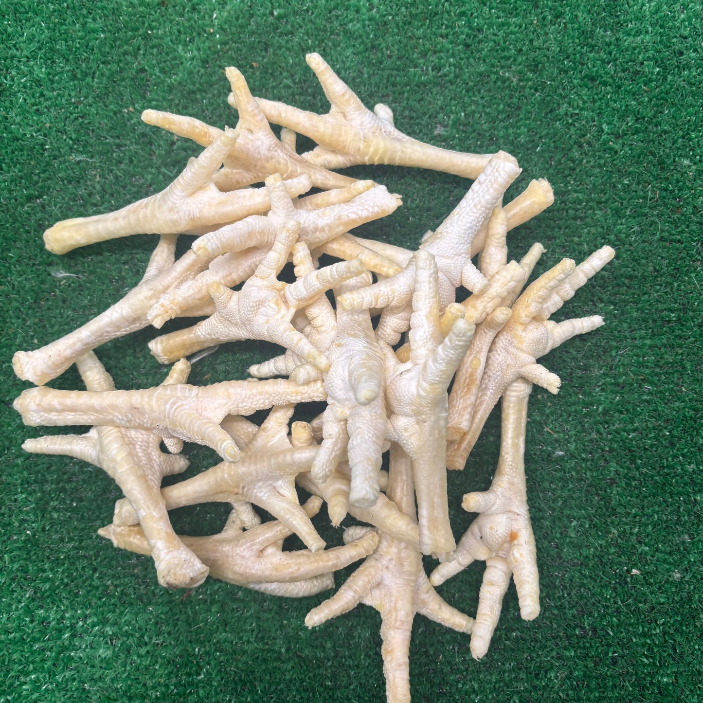 15 x Puffed Chicken Feet - Natural Doggy Treats