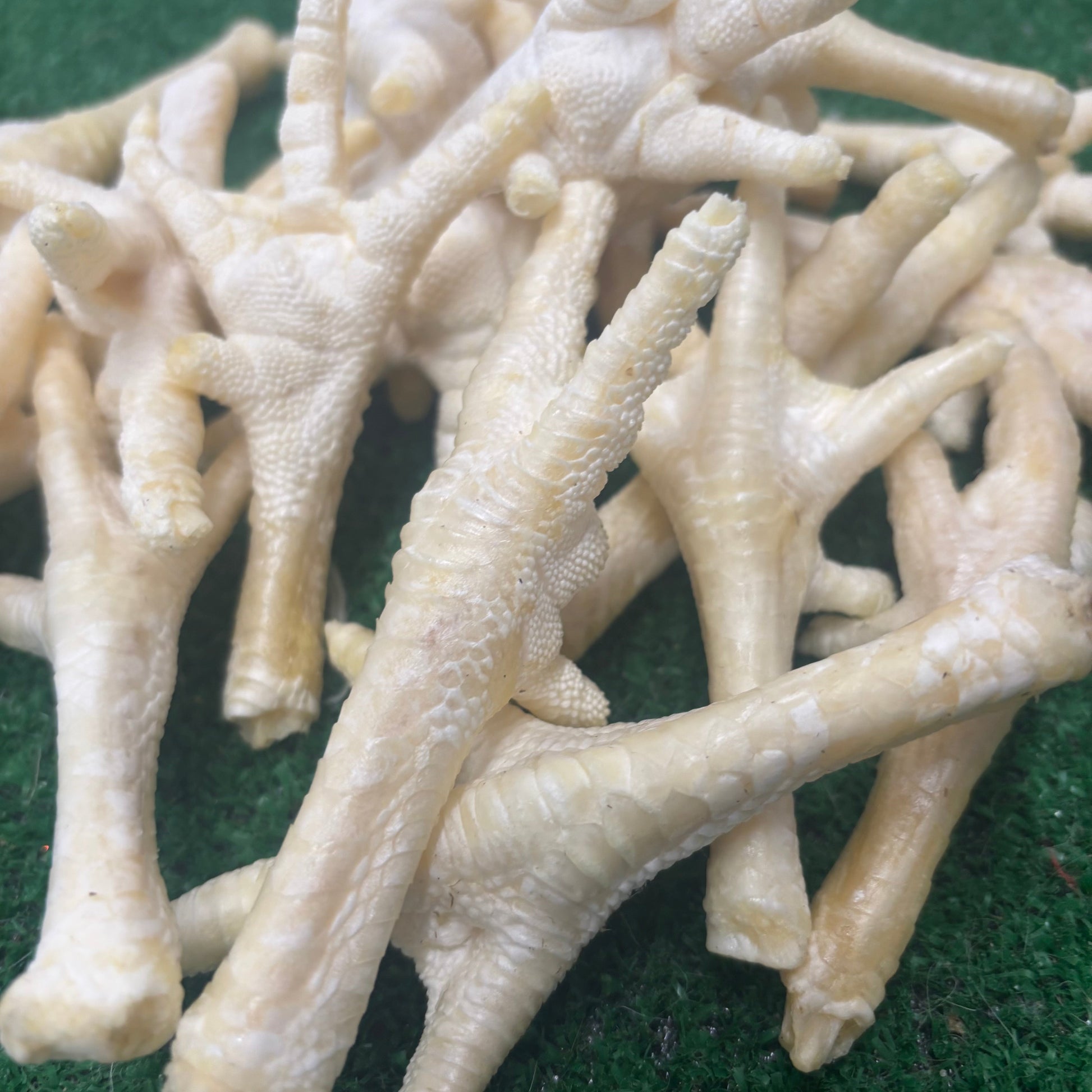 15 x Puffed Chicken Feet - Natural Doggy Treats