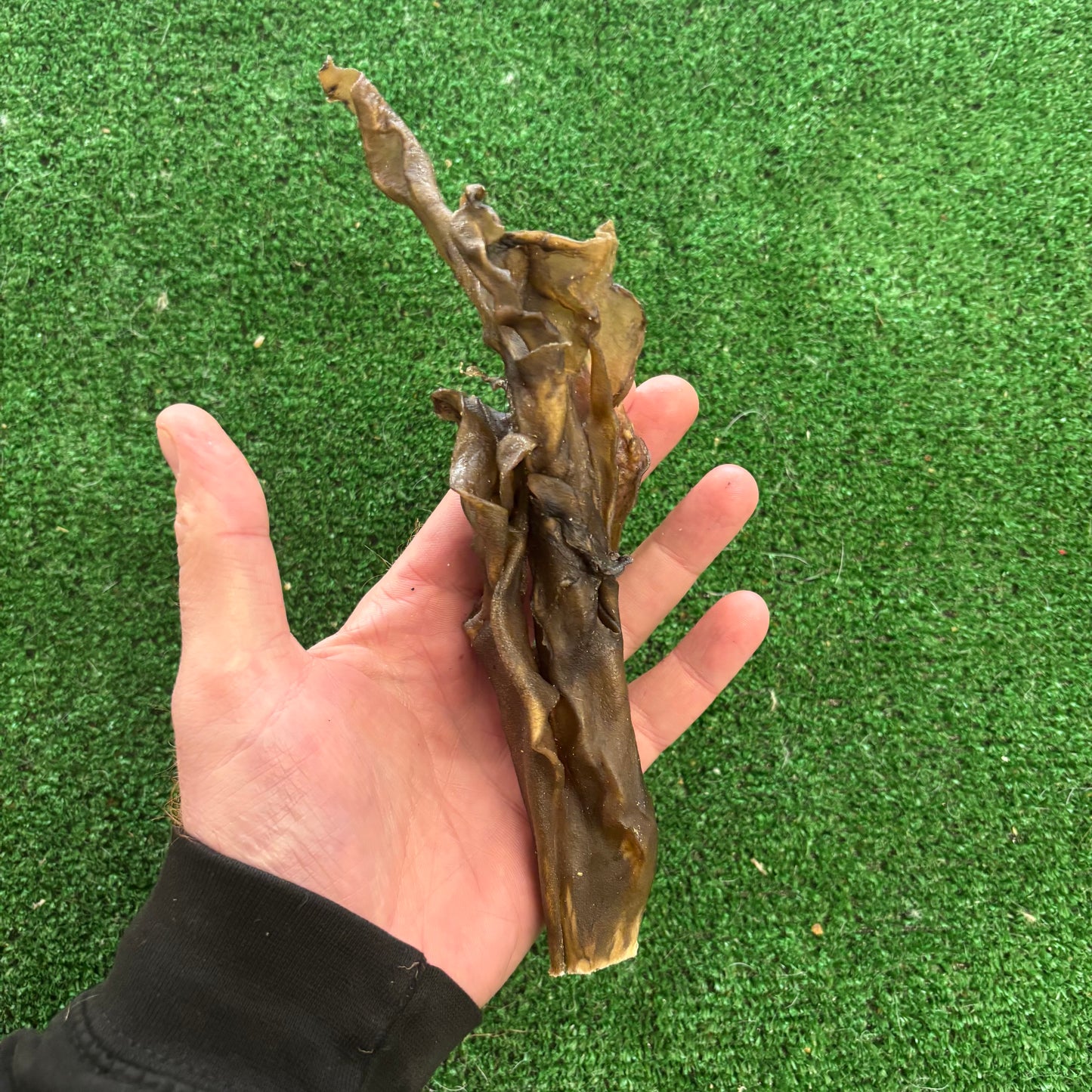 1KG Deer Skin
