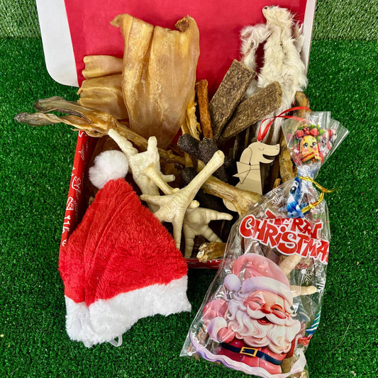 Santa Paws Bundle Box