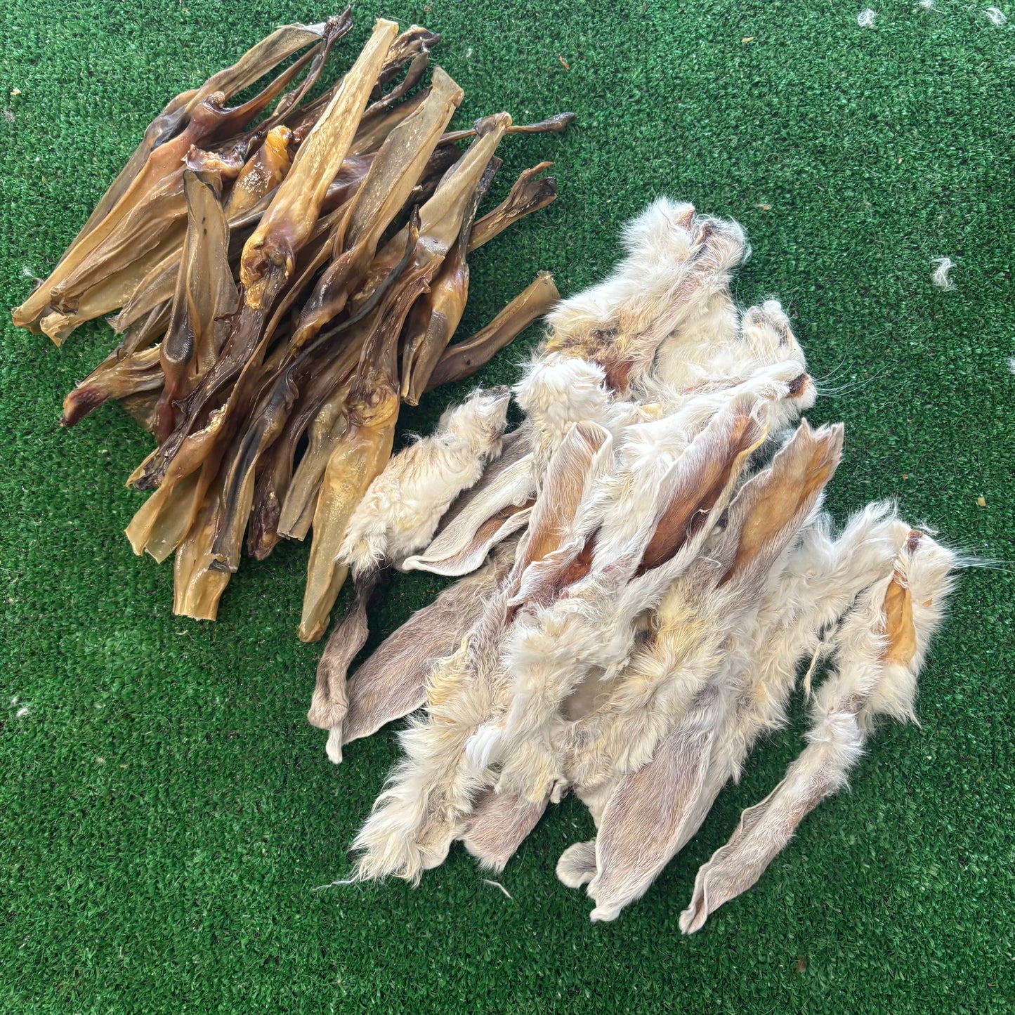 Rabbit Ear Bundle