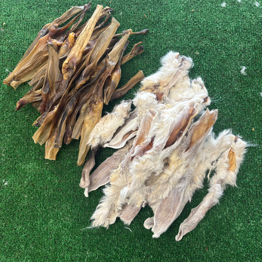 Rabbit Ear Bundle