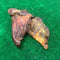 3 x Pigs Ears