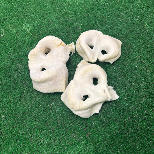 3 x Puffed Pig Snouts - Natural Doggy Treats