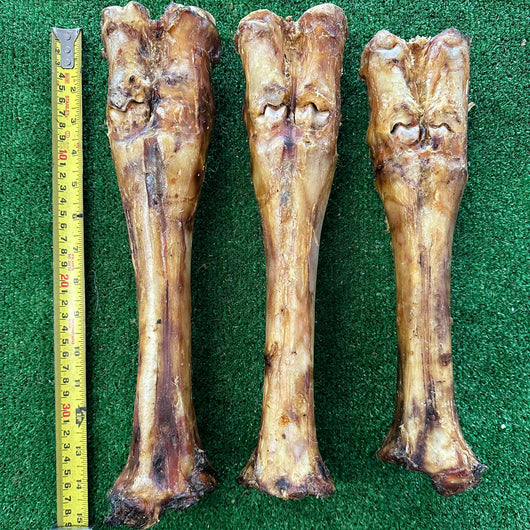 Giant Beef Bone