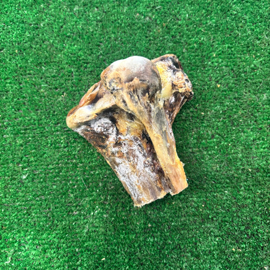 Ostrich Knuckle Large