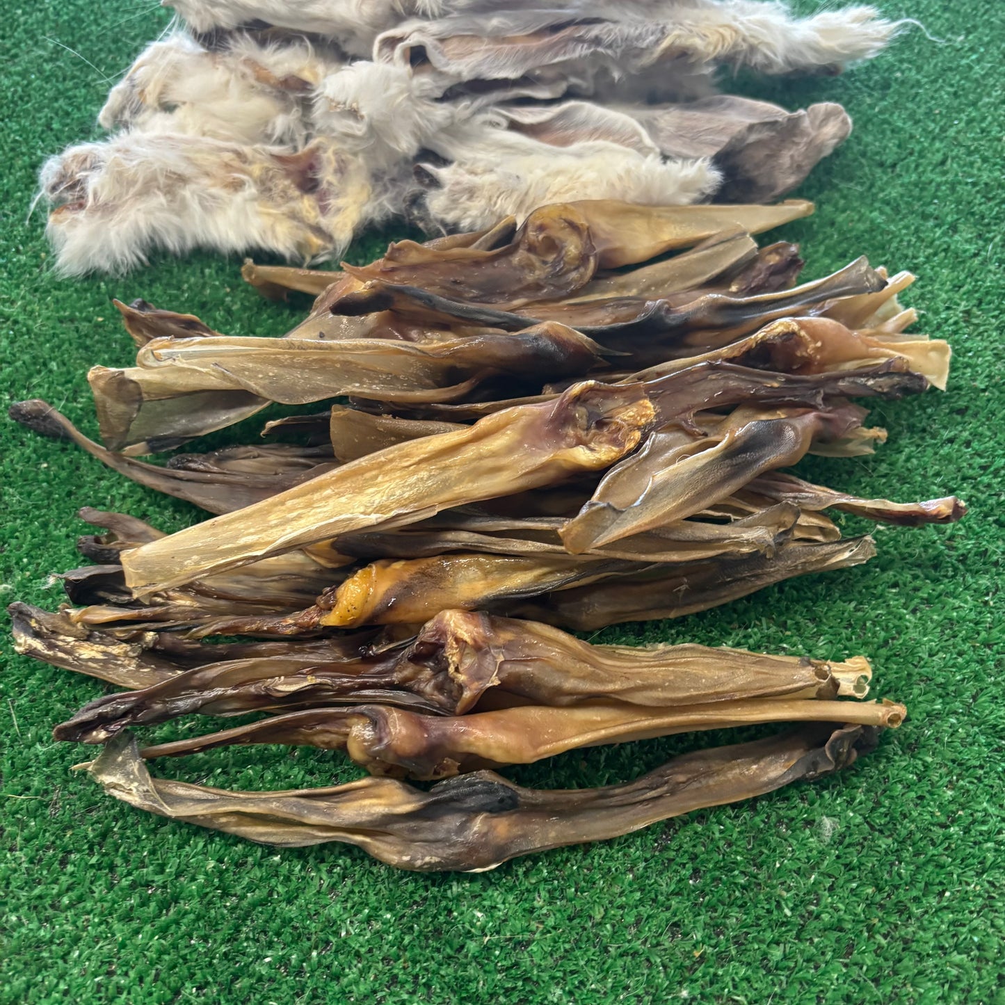 Rabbit Ear Bundle