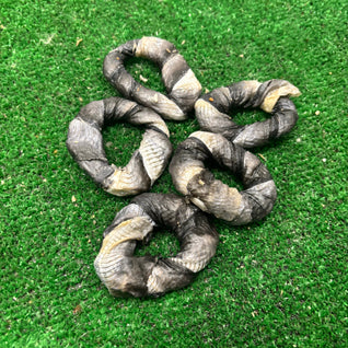 5 Fish Ringos