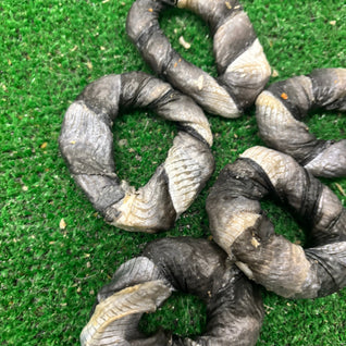 5 Fish Ringos