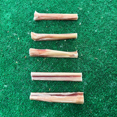 5 x Bull Pizzle - Natural Doggy Treats