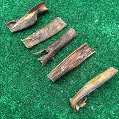 5 x Camel Skin - Natural Doggy Treats