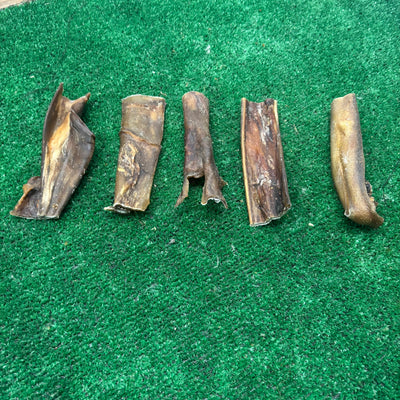 5 x Camel Skin - Natural Doggy Treats