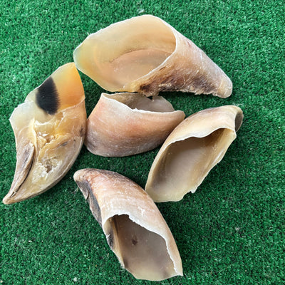 5 x Cow Hooves - Natural Doggy Treats