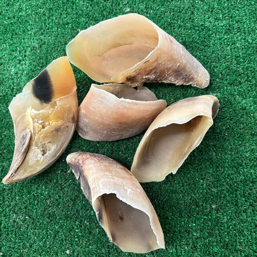 5 x Cow Hooves - Natural Doggy Treats