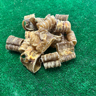 Beef trachea curls x10