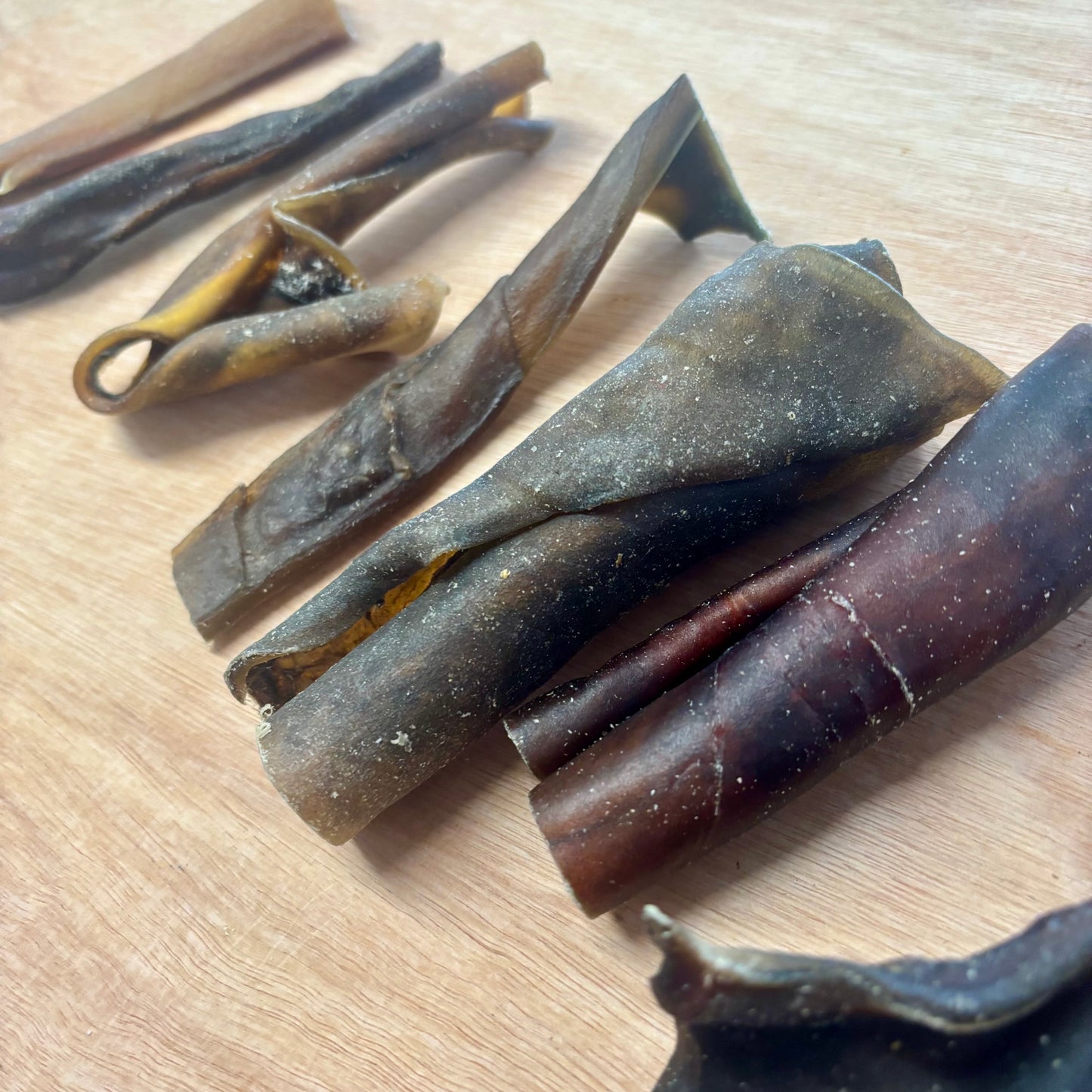 10 X Camel Skin