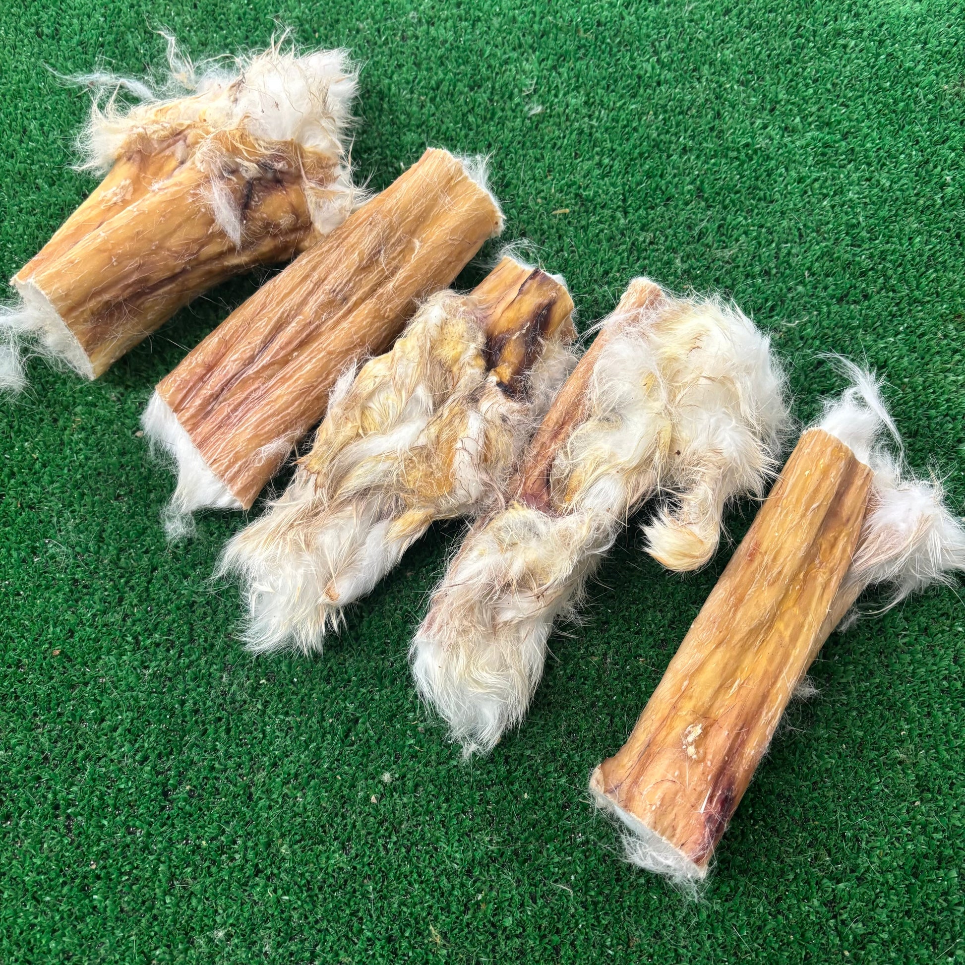 6 x 10cm Rabbit Skin with fur - Natural Doggy Treats