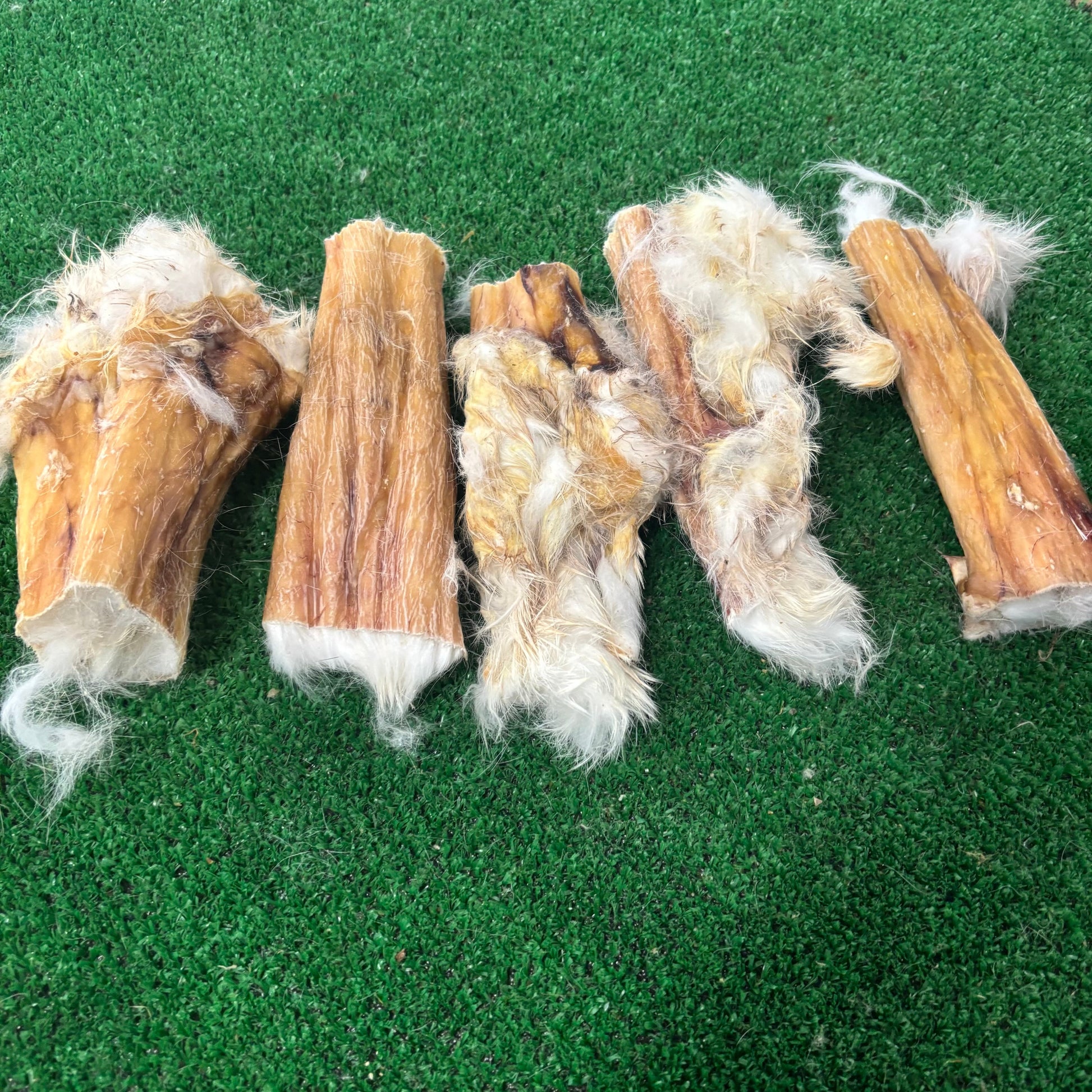 6 x 10cm Rabbit Skin with fur - Natural Doggy Treats