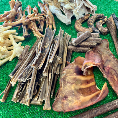 75+ Mega Treat Box - Natural Doggy Treats