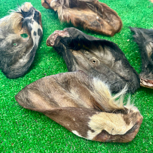 5 x Large Cow Ears