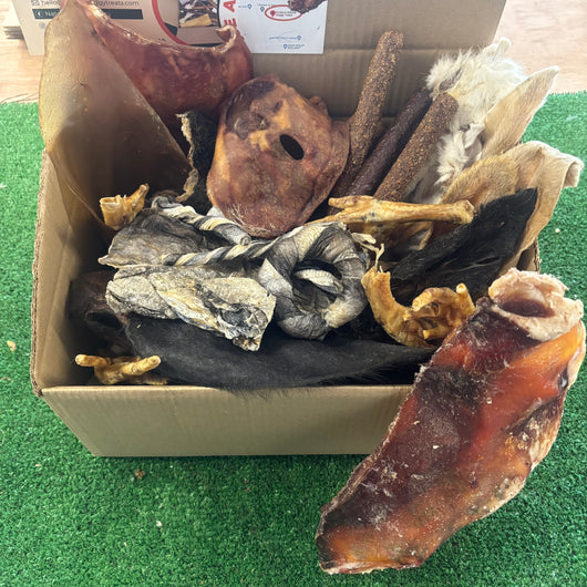 Monster box