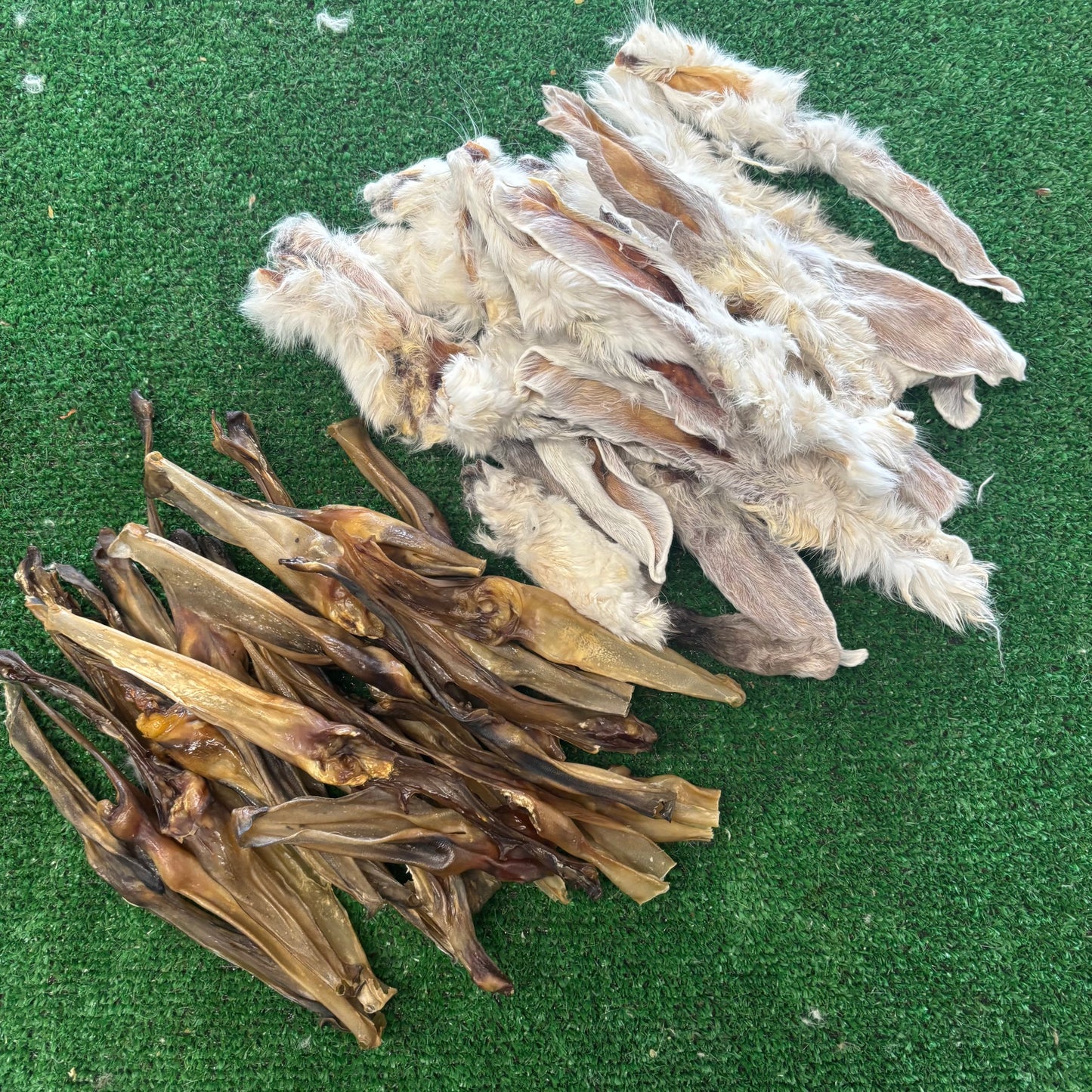 Rabbit Ear Bundle